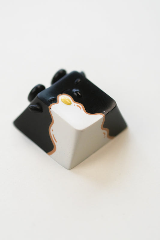 Telur Mata Keyby No.50